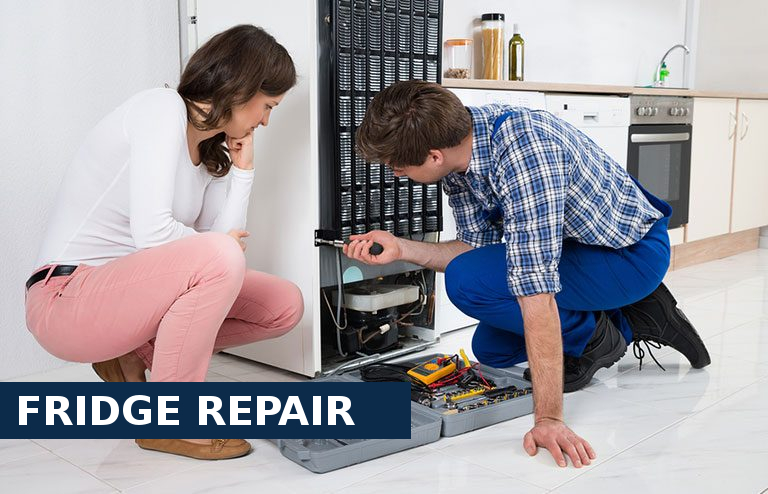 Fridge Repair Earl's Court